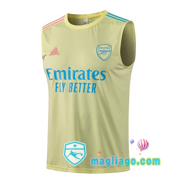 Magliago - Passione Maglie Thai Affidabili Basso Costo Online Shop | Gilet da Calcio Arsenal Giallo 2021/2022